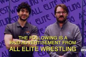 AEW advertisement