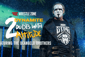 2 Dynamite Dudes Sting