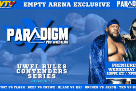 Paradigm Pro Wrestling UWFI Rules Series