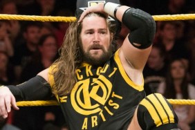 chris hero