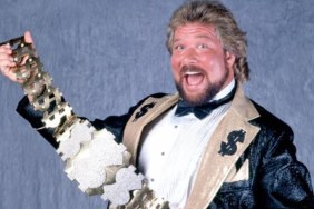 ted-dibiase-wwe-1