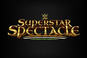 wwe superstar spectacle