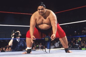 yokozuna