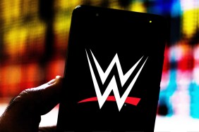 wwe phone