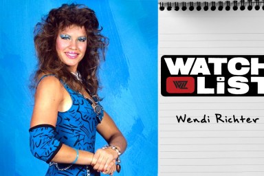 wendi richter