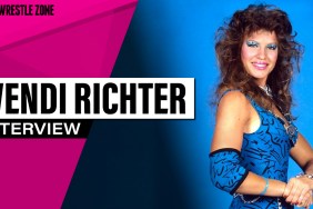 wendi richter