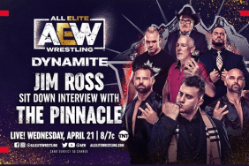 Pinnacle Jim Ross AEW