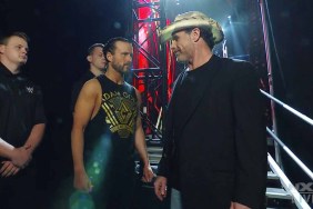 adam cole shawn michaels