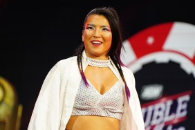 hikaru shida aew 1