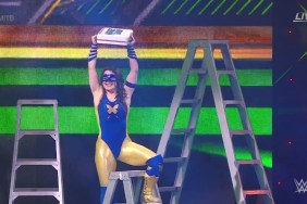 Nikki A.S.H. MITB