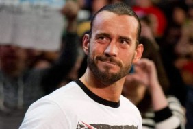 CM Punk