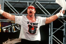 terry funk wwe 1