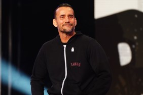 cm punk