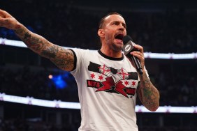 cm punk