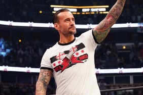 cm punk