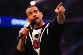 cm punk