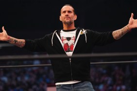 cm punk