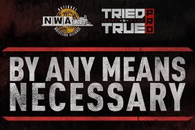 nwa by any means necessary logo