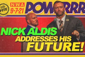 nwa powerrr nick aldis