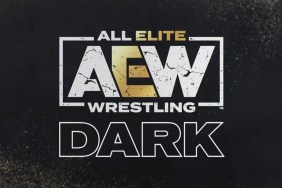 aew dark logo