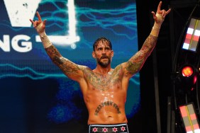 cm punk