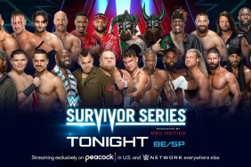 WWE Survivor Series Battle Royal