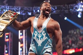 big e wwe 11