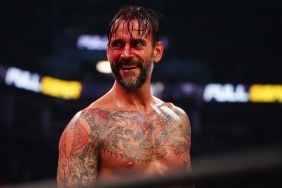 cm punk