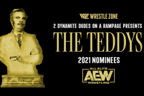 AEW 2 Dynamite Dudes On A Rampage Teddys