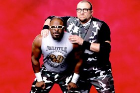 dudley boyz team 3d