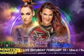 Becky Lynch Lita WWE Elimination Chamber