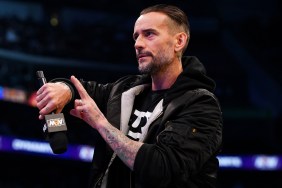 cm punk