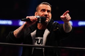 cm punk