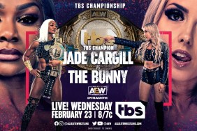 AEW Dynamite Jade Cargill The Bunny