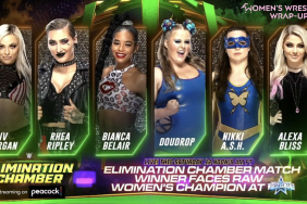 Elimination Chamber 2022