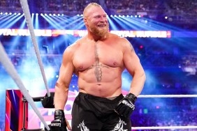 brock lesnar