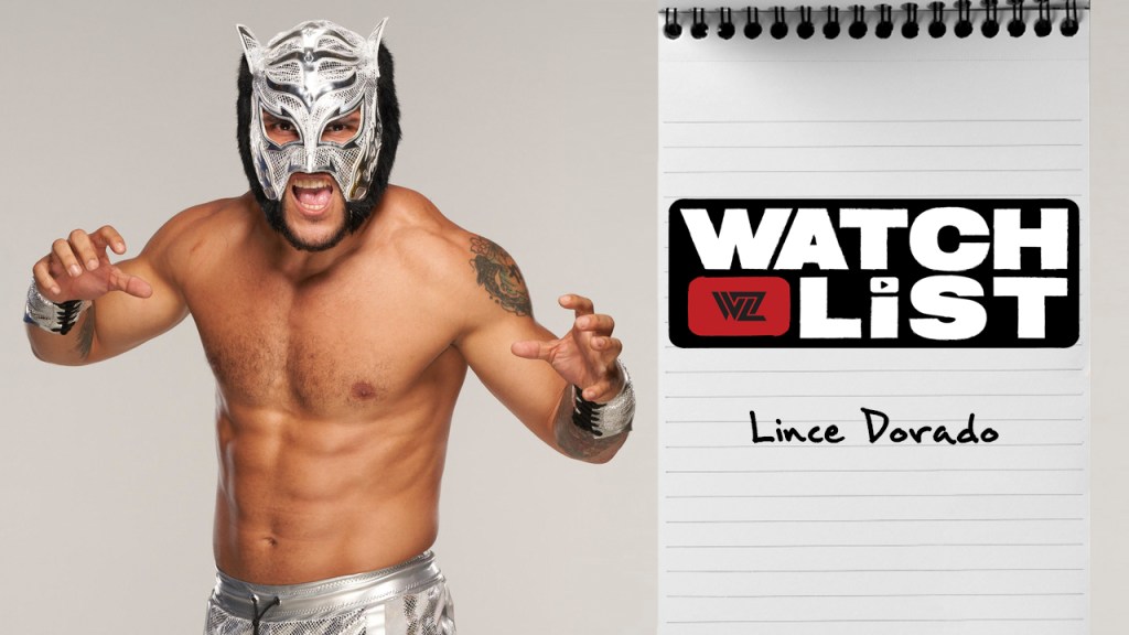 lince dorado