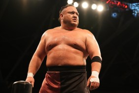 samoa joe