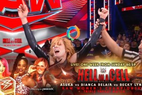 Becky Lynch WWE Hell in a Cell