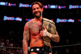 cm punk