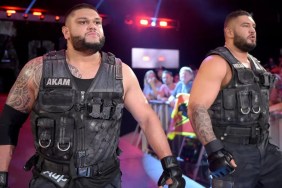 authors of pain