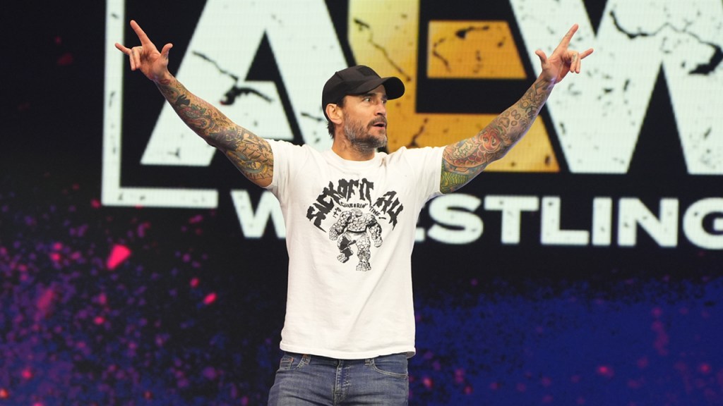 cm punk