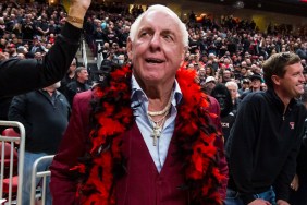 Ric Flair