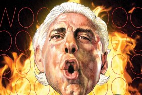 ric flair