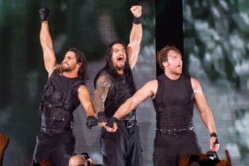 the shield