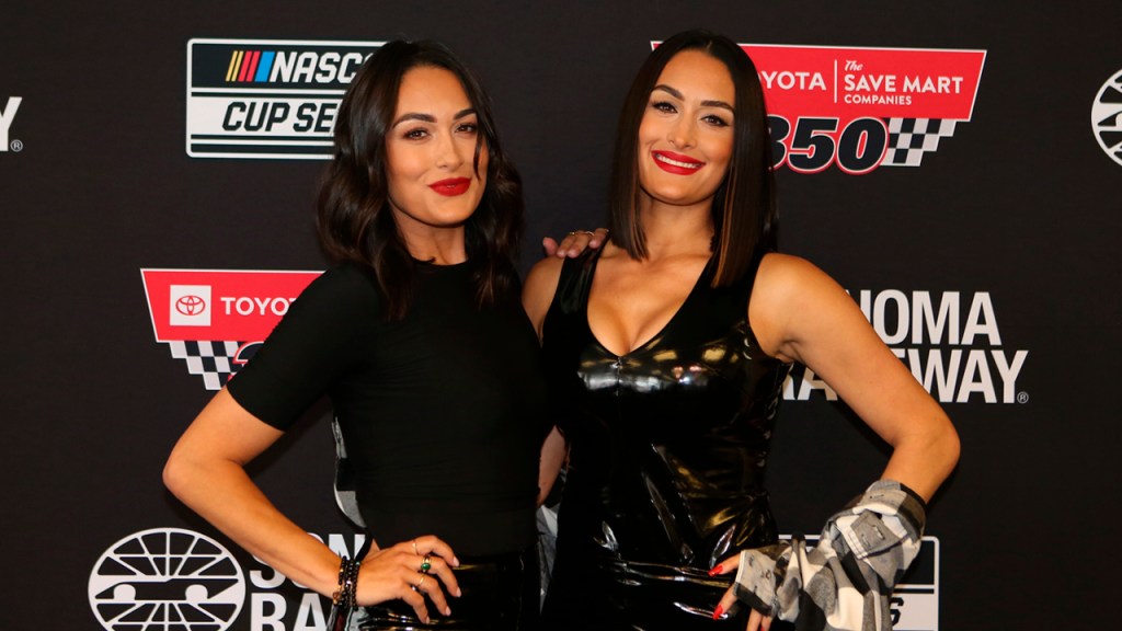 Nikki Bella Brie Bella Twins