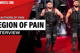 authors of pain aop legion of pain