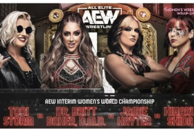 AEW interim women champion