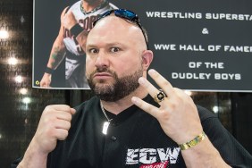 Bully Ray