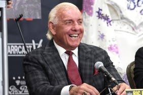 Ric Flair